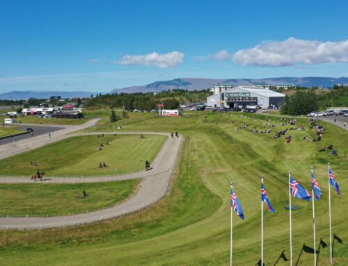 Reykjavíkurmeistaramótið 12. – 18. júní