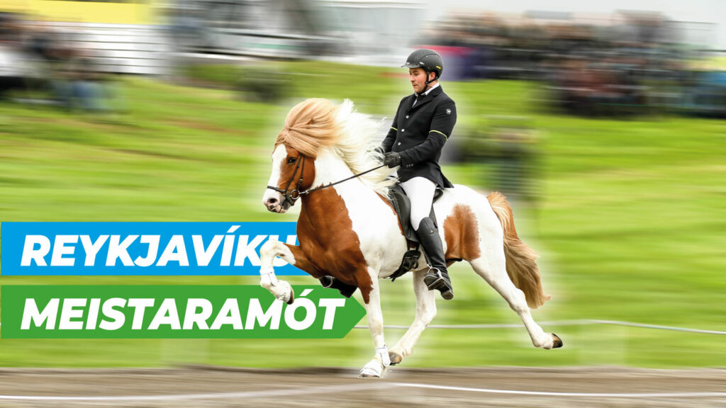 RVKMOT_banner2023_hafsteinn