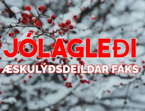 Jólagleði æskulýðsdeildar Fáks fimmtudaginn 28.nóvember