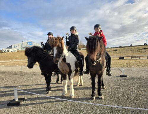 Niðurstöður frá Vetrarleikum I