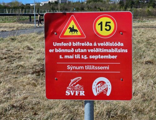 Veiðitímabilið í Elliðaám er hafið og stendur til 15. september.