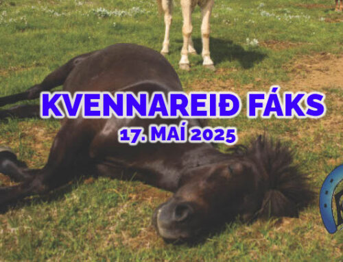 Kvennareið Fáks laugardaginn 17. maí