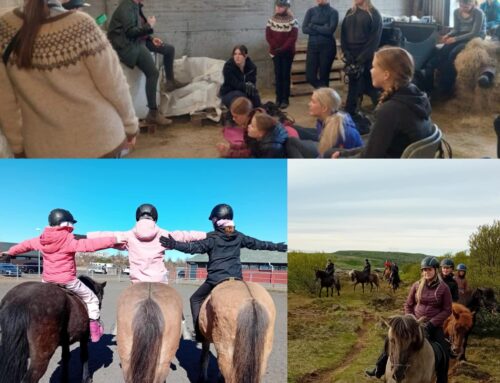 Skráning fyrir haustönn í hestaíþróttaklúbbinn Fákar og Fjör er hafin