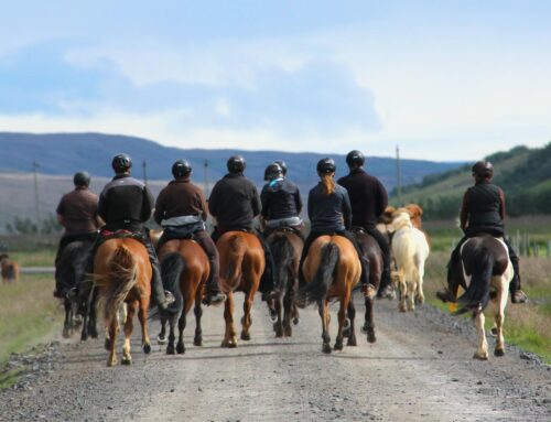 Tilkynning frá Útreiða- og ferðanefnd – Félagsreiðtúrar 2026