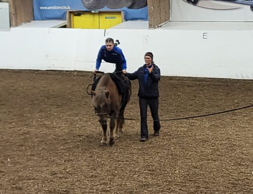 Áhugaverð sýnikennsla og skemmtilegt námskeið í hestafimleikum hjá Kathrinu og þjálfurum
