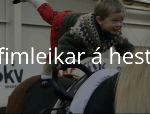 Hestafimleikar í Lýsishöllinni í Fáki – sýnikennsla