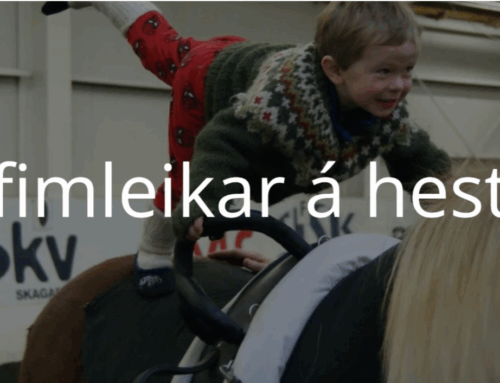 Hestafimleikar- námskeið
