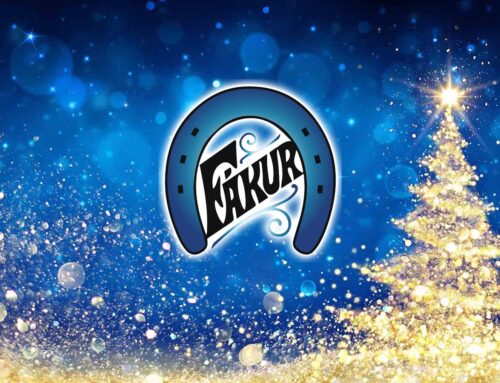 Jóla- og nýárskveðjur frá stjórn