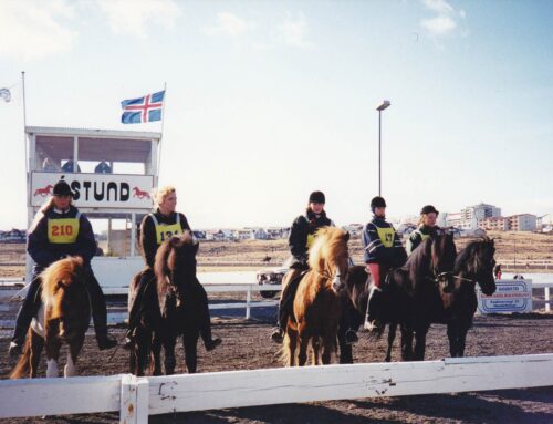 Dómpallurinn við hringvöllinn rifinn