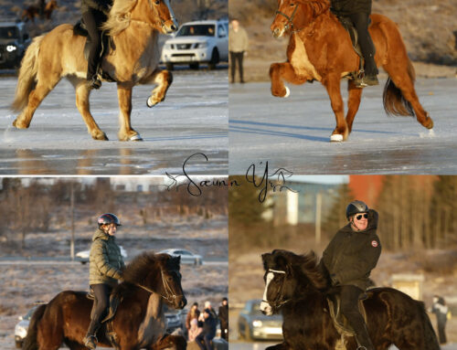 Rauðavatn Open – Úrslit