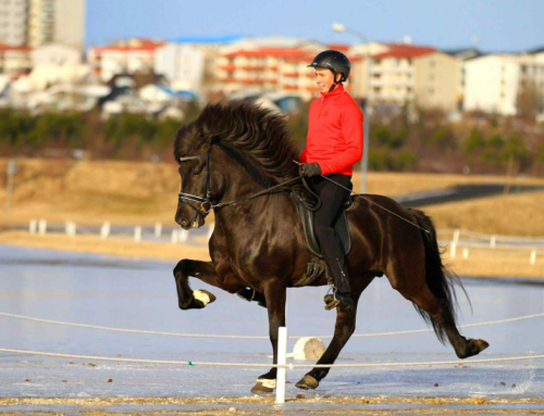 Næstu námskeið komin inn á sportabler