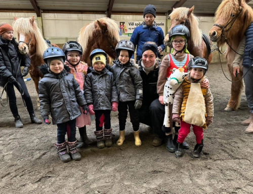 Ævintýranámskeið fyrir yngstu knapana