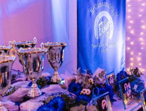 Stofnun afreks- og hvatningarsjóðs