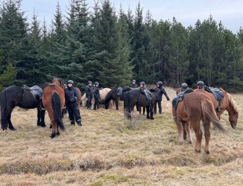 Félagsreiðtúr 7. mars klukkan 14:00
