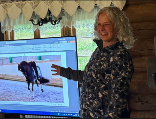 Fyrirlestur með Tonje Lund Ness í mátun hnakka á hesta