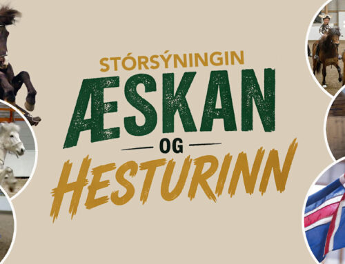 Sýningin Æskan og hesturinn sunnudaginn 26. april