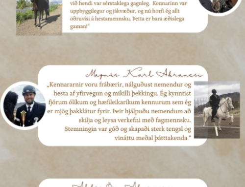 Reiðmaðurinn III – einstaklingsmiðuð kennsla fyrir knapa og hest
