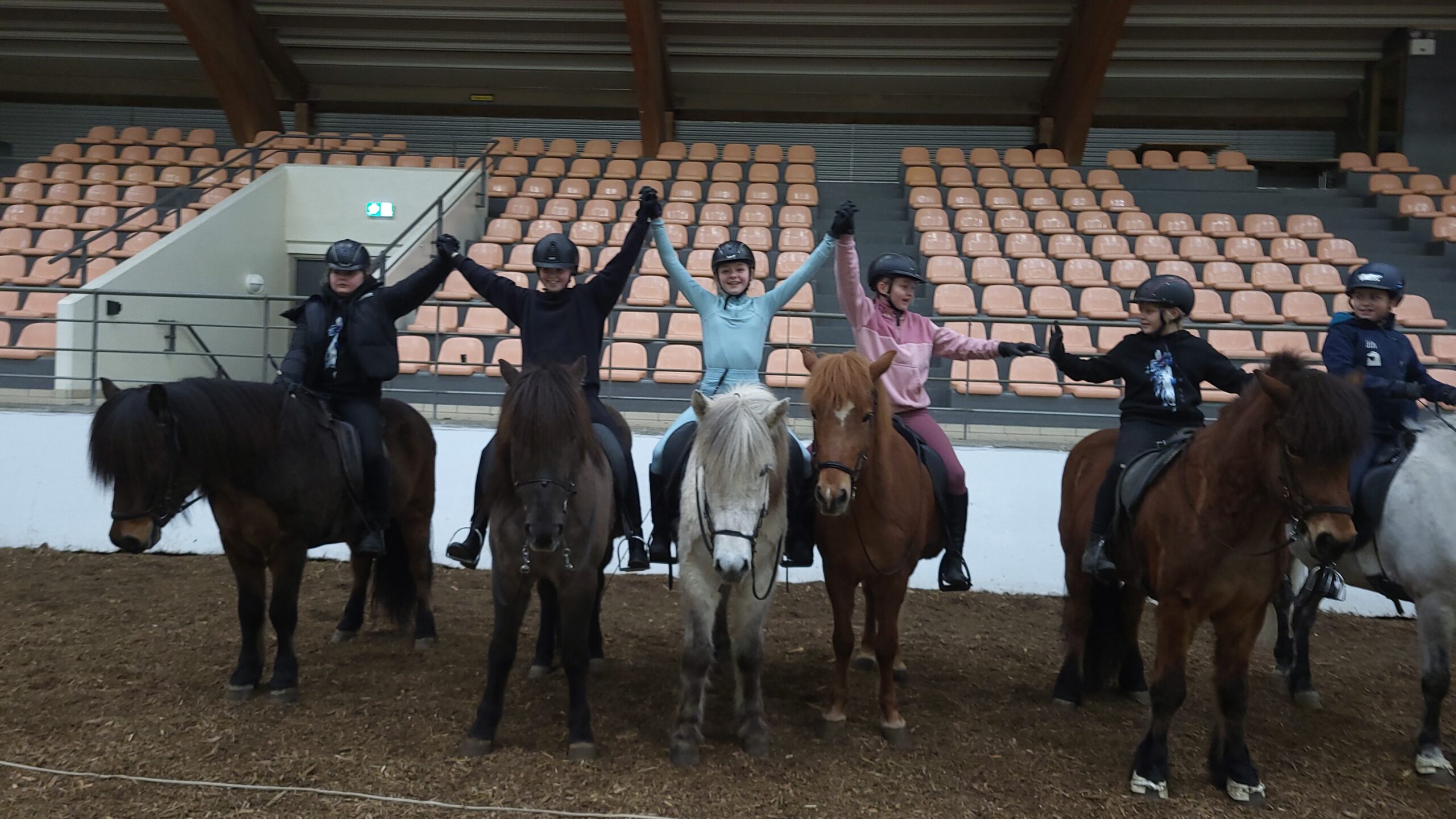 Leikja og þrautabraut fyrir unga Fáksara í Lýsis höllinni.
