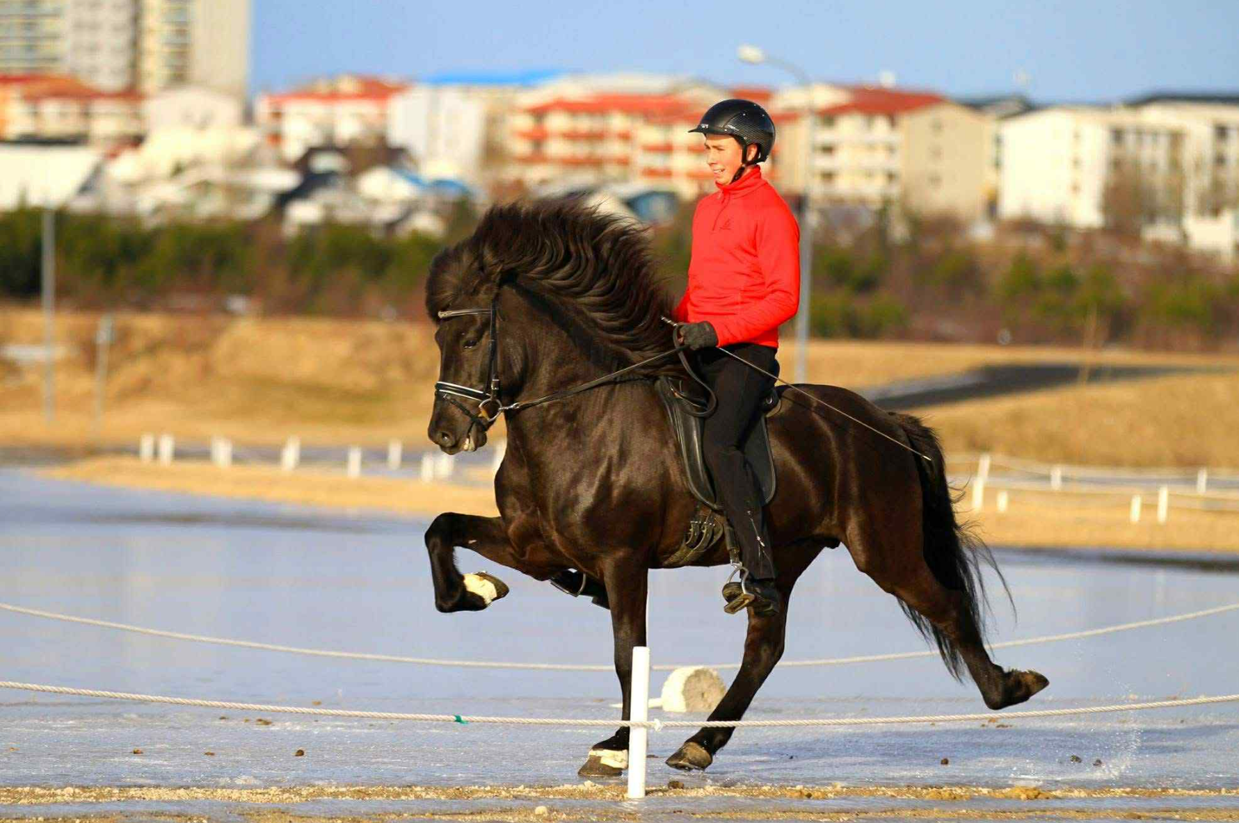 Næstu námskeið komin inn á sportabler
