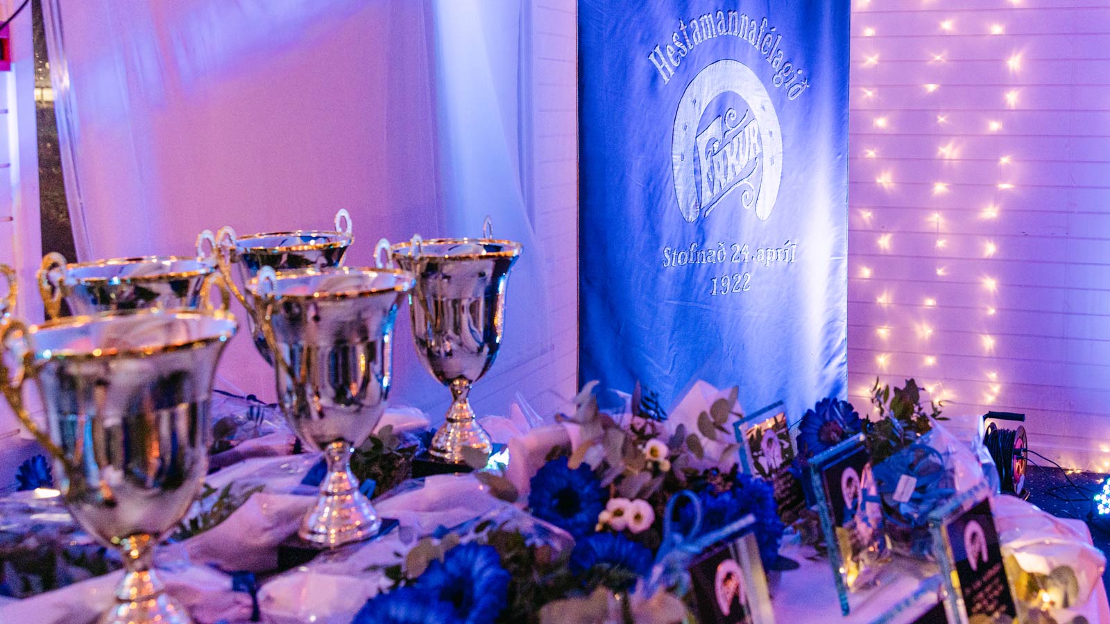 Stofnun afreks- og hvatningarsjóðs