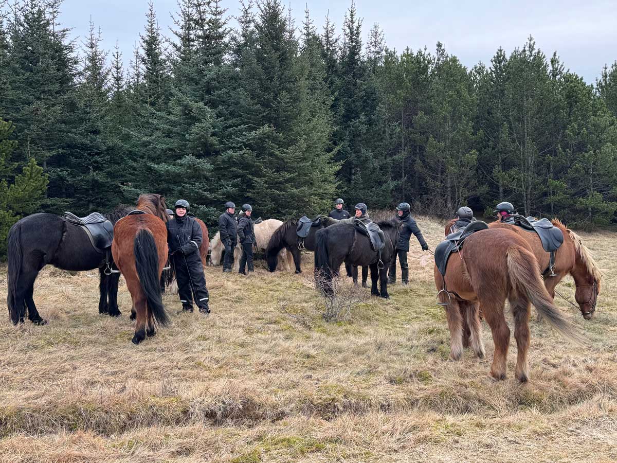 Félagsreiðtúr 7. mars klukkan 14:00